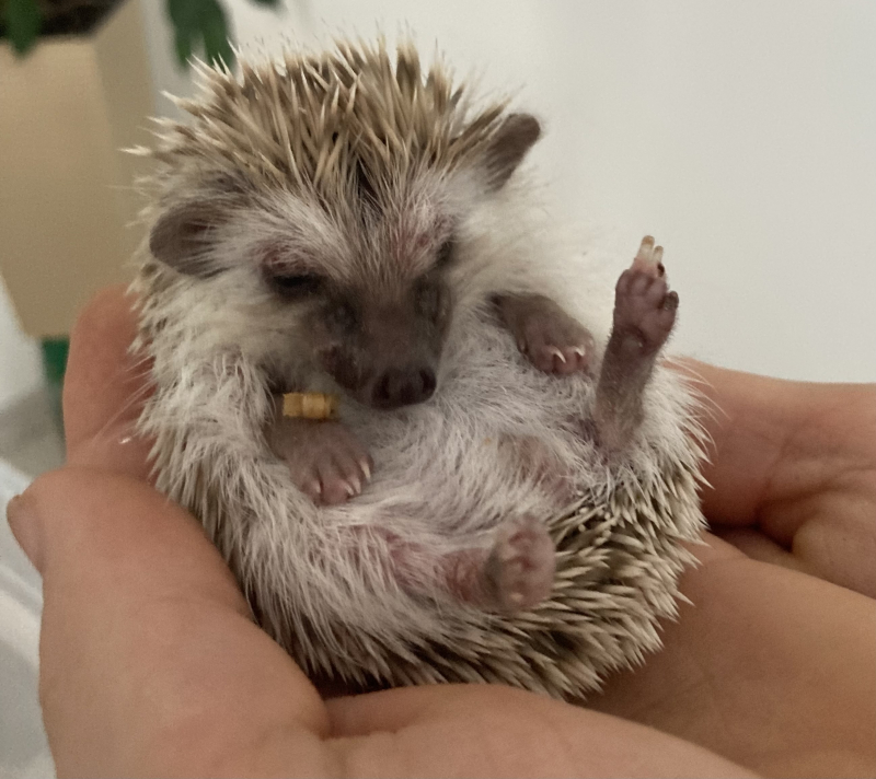 agckbuepwuhnpv6u321c-thumbnail.jpg